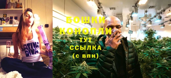 СК Горняк