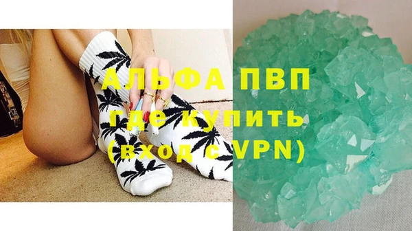 ГАЛЛЮЦИНОГЕННЫЕ ГРИБЫ Горно-Алтайск