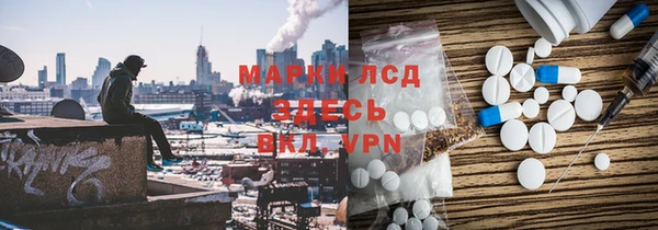 ГАЛЛЮЦИНОГЕННЫЕ ГРИБЫ Горно-Алтайск