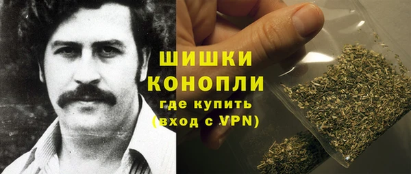 ГАЛЛЮЦИНОГЕННЫЕ ГРИБЫ Горно-Алтайск