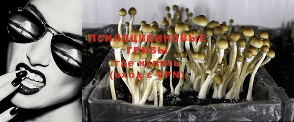 MDMA Premium VHQ Горнозаводск