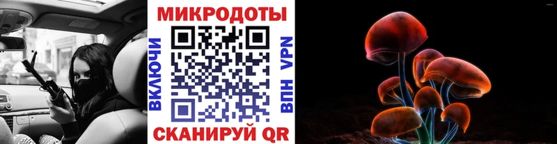 Псилоцибиновые грибы мицелий  Купить закладки  Болохово 