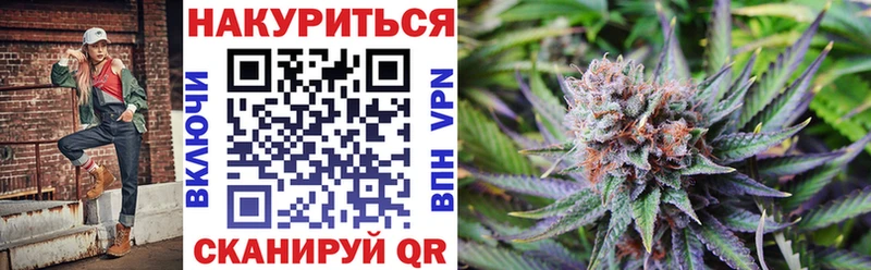 Купить где  Болохово  Шишки марихуана сатива 